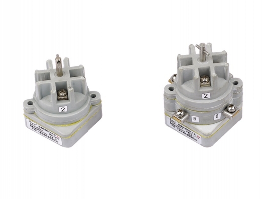 Good quality Explosion Proof Power Connector - 8008/2 series Explosion-proof control switch – Feice